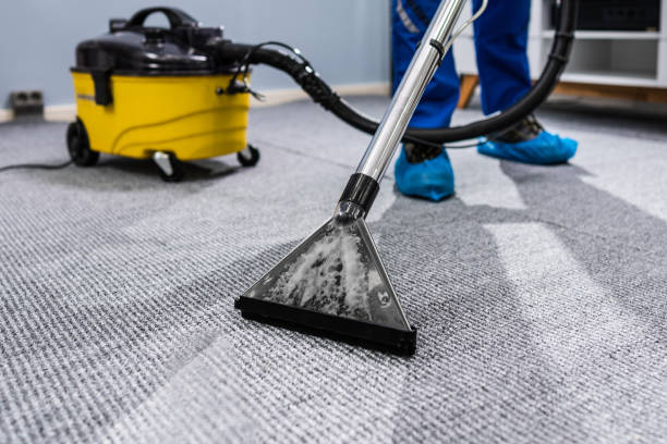 Deep carpet cleaning of a living room carpet using hot water extraction