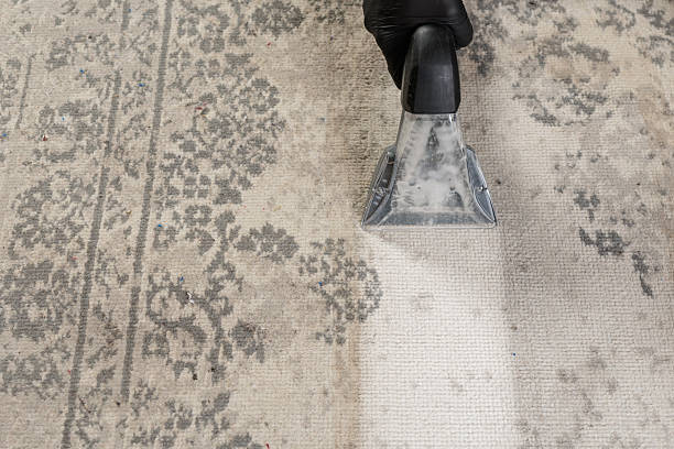Commercial office carpet cleaning after hours